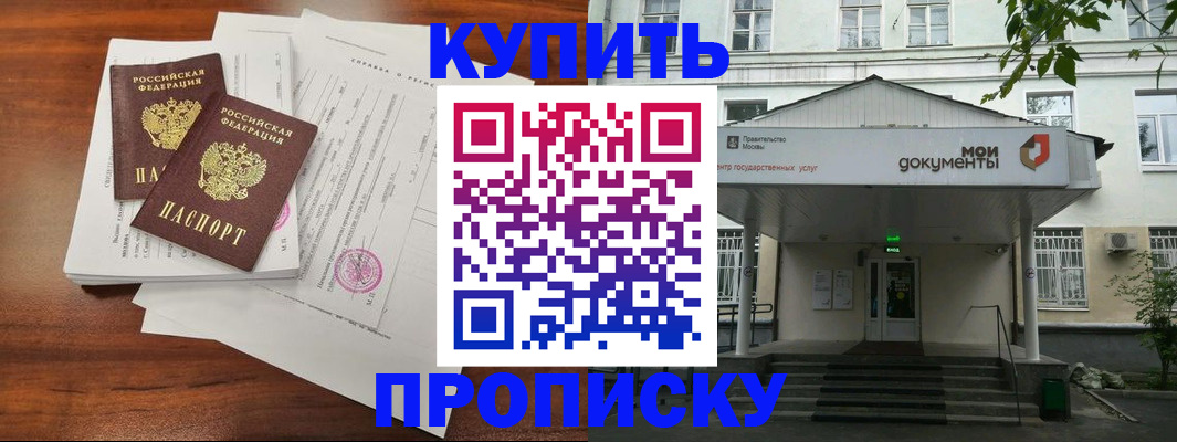 прописка для школы в Новгородской области